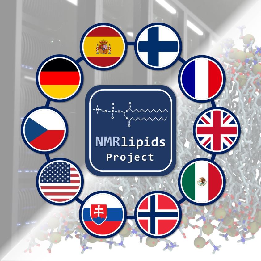 Project logo for the NMRlipids project. 
