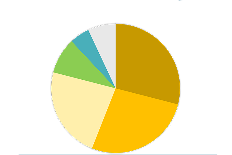 Cake diagram displaying HPC users by field of science. 