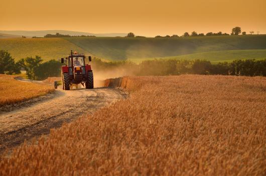 A red tractor driving in an agricultural landscape. 