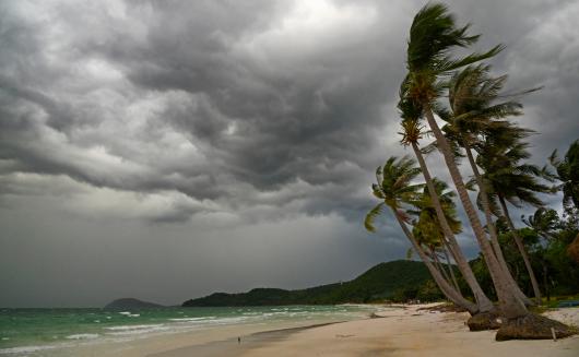 Stor clouds rolling in over a palmy beach. 