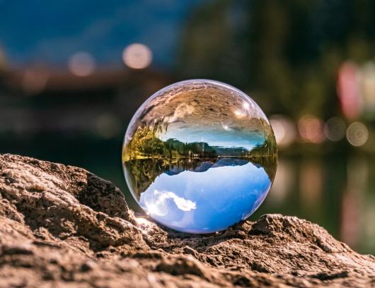 A glass orb mirroring its nature surroundings. 