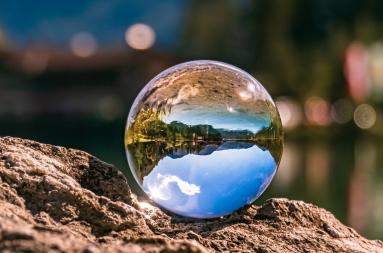 A glass orb mirroring its nature surroundings. 